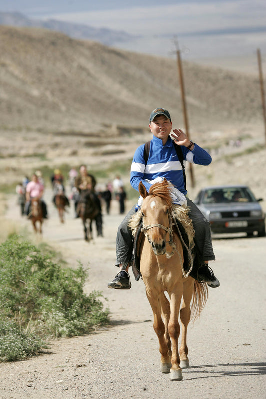 Arizona: Classic Adventure Trail Horse Rides + Pick-up Available