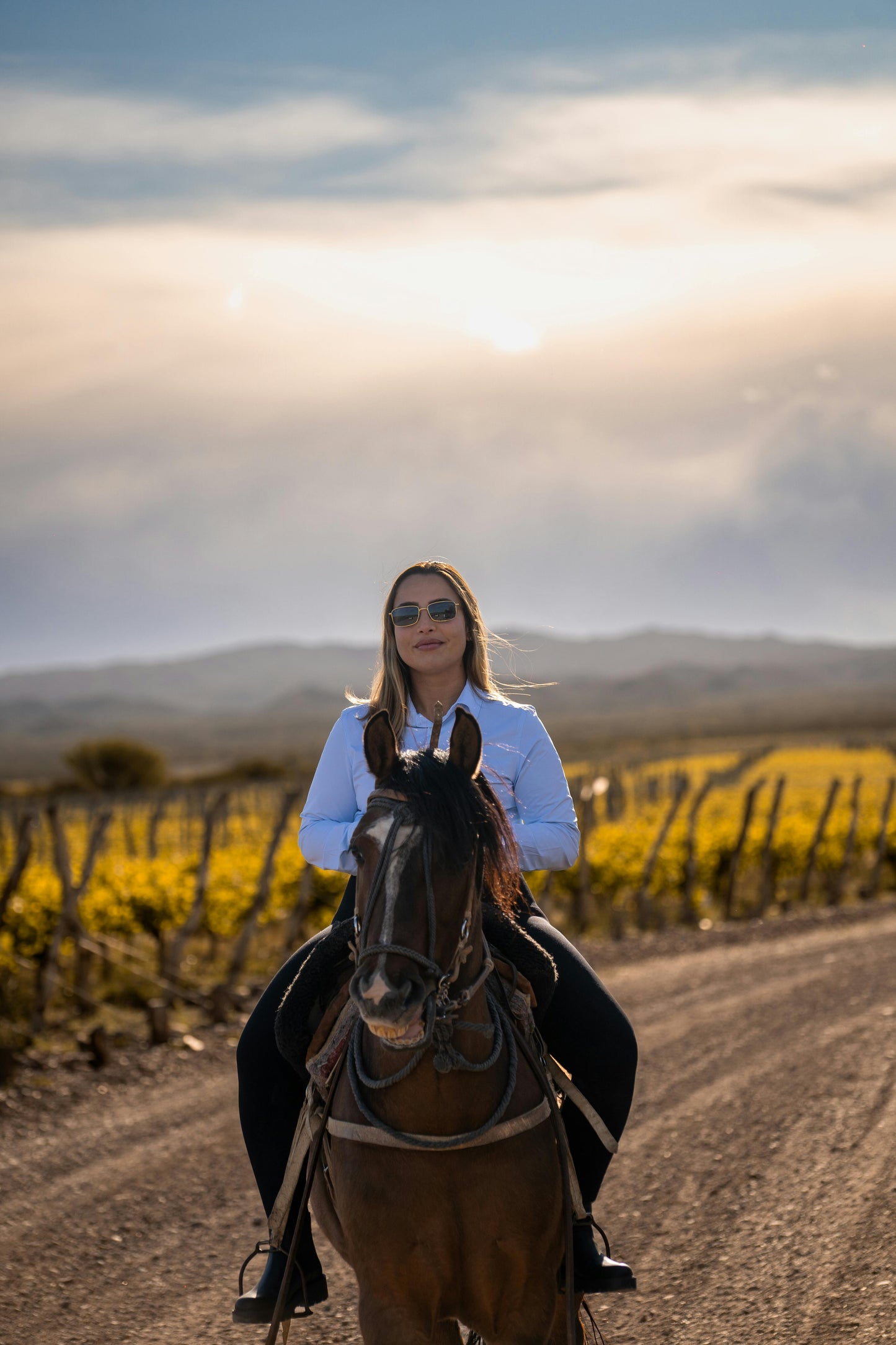 New South Wales: 1.5-Hour Vineyard and Bush Horse Ride