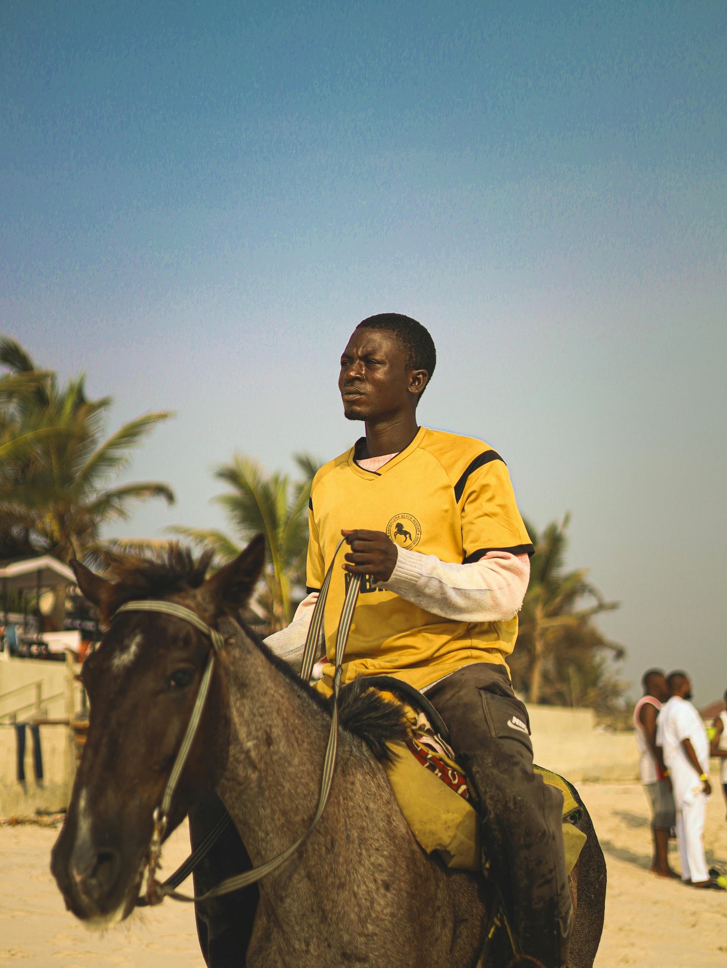 Jeffreys Bay, Eastern Cape: 2-Hour Beach Trail with Canter & Gallop (Intermediate Rider)