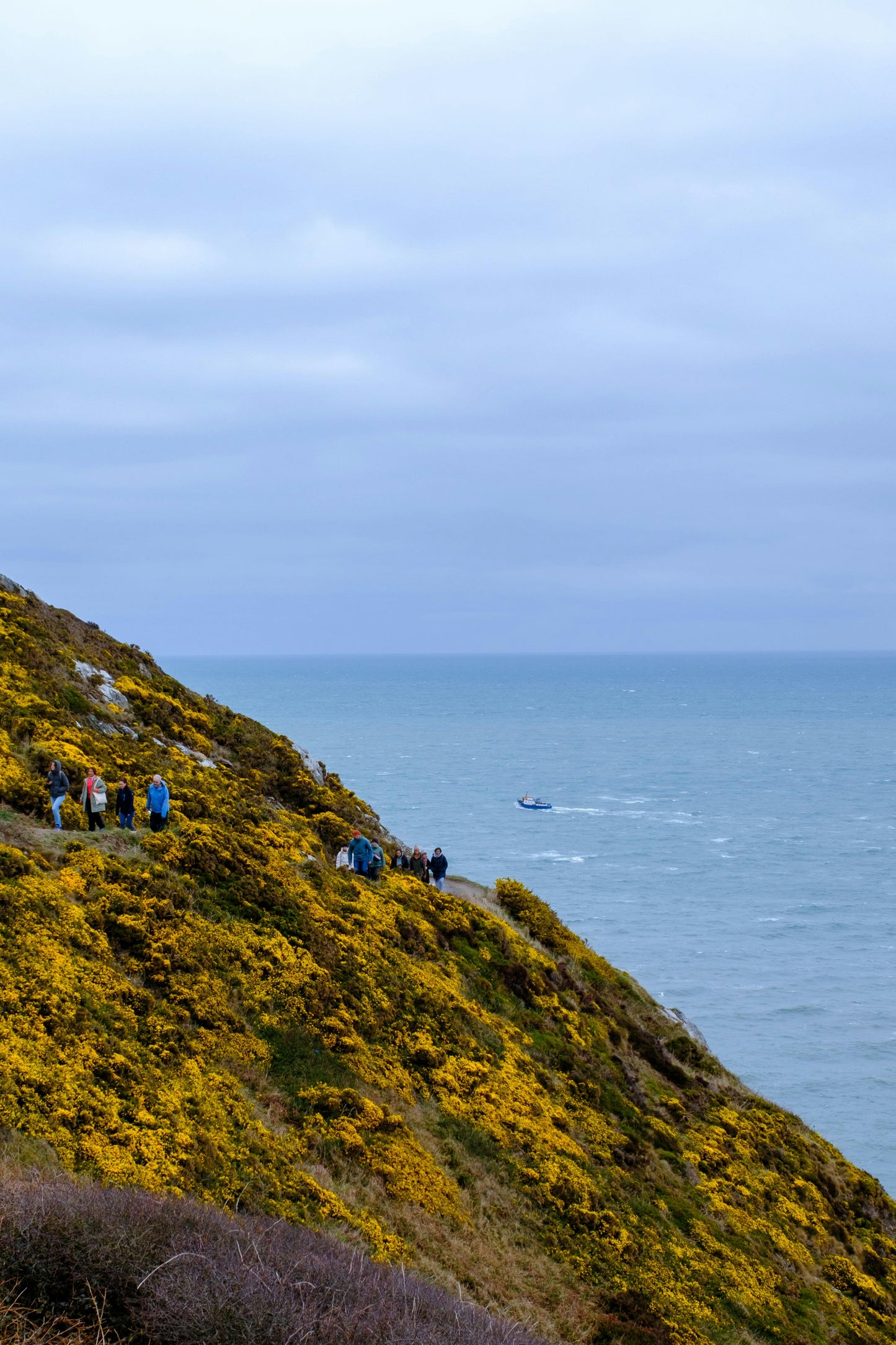 Dublin: Private Magical Coastal Panorama Bike Tour + Pick-up Available