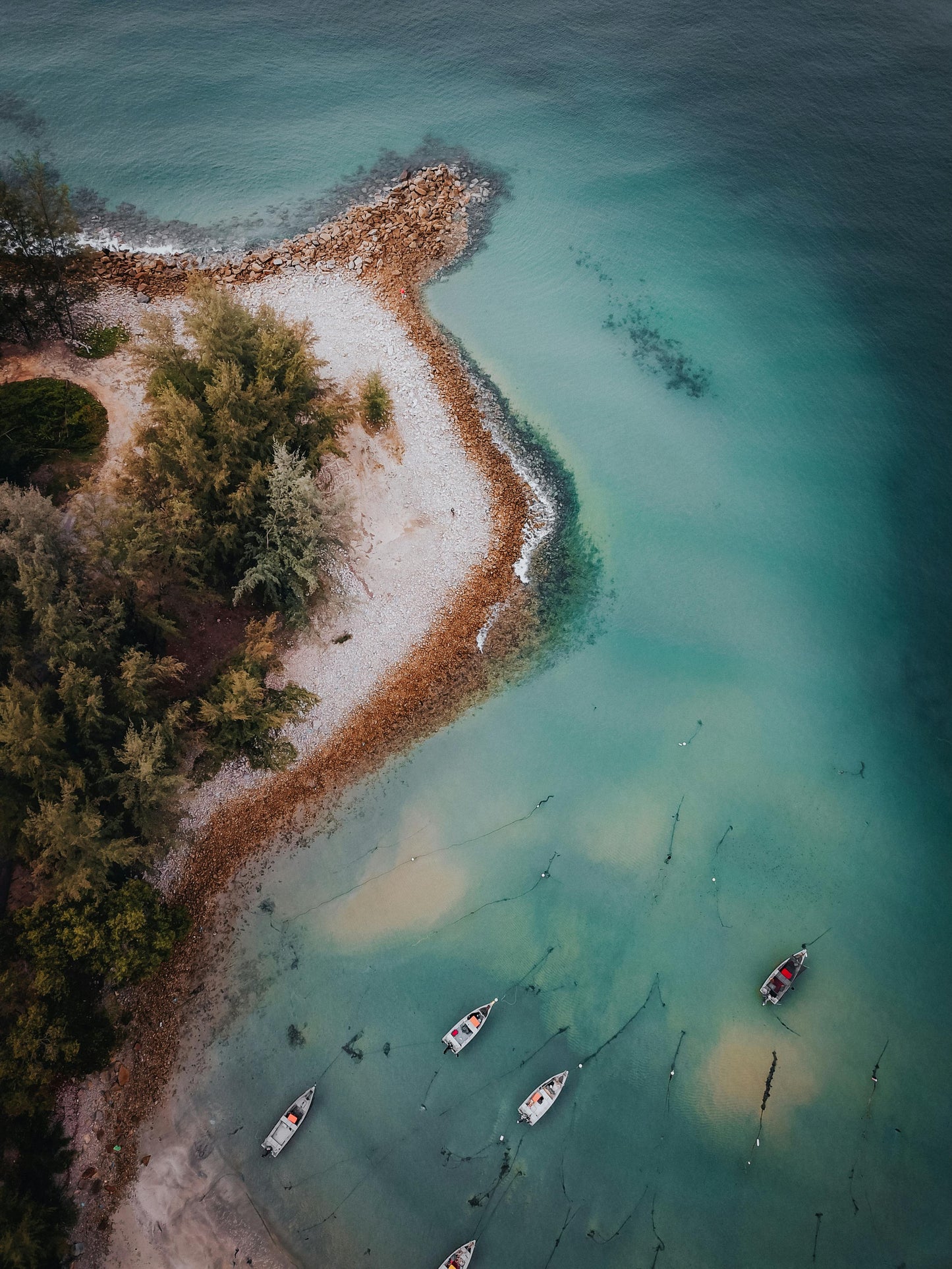 Langkawi: Beach Horseback Swim