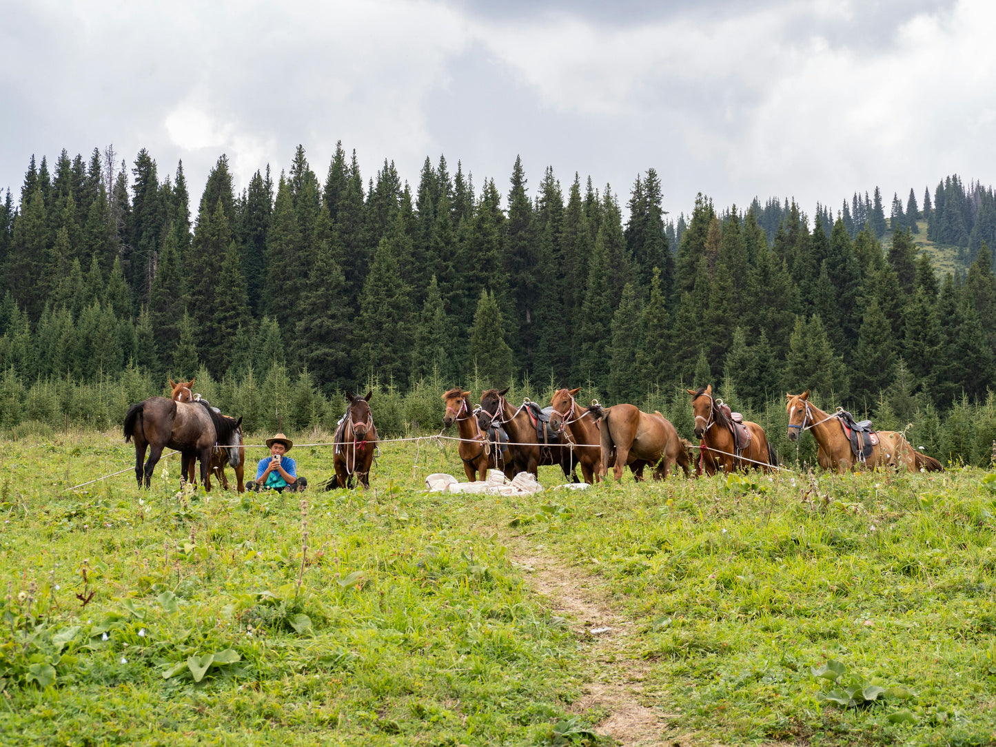 Kauai, Hawaii: 1-5-Hour Scenic Private Horseback Rides