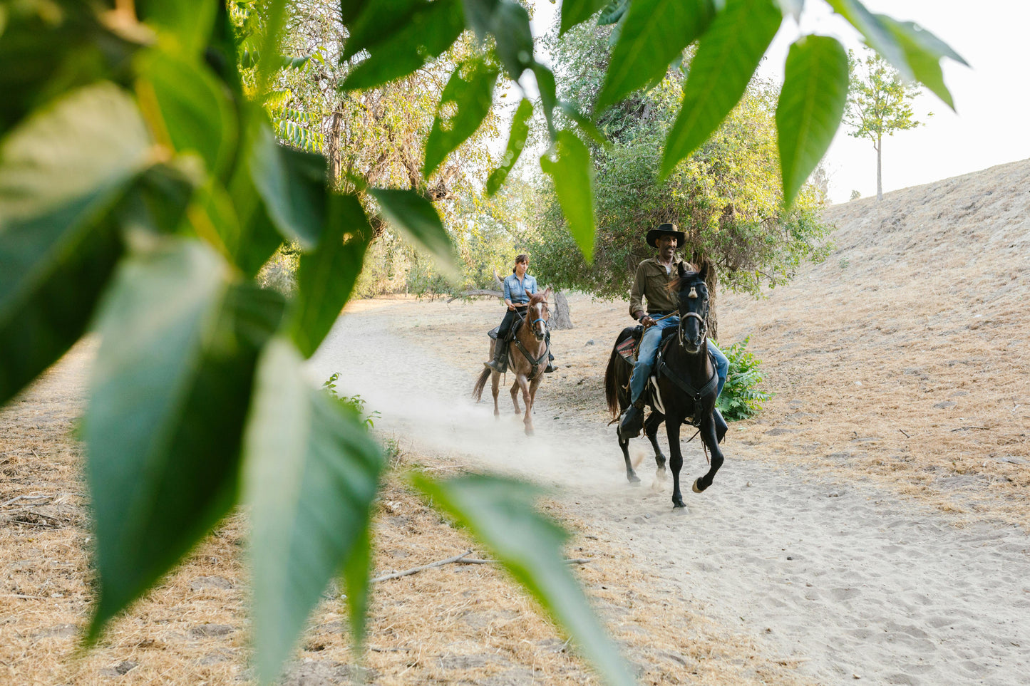 Arizona: Private Picnic Lunch Horseback Ride + Drinks + Pick-up Available