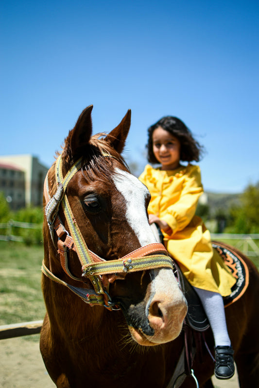 Abu Dhabi, UAE: 1-Hour Pinky Pony Ride along the Beach