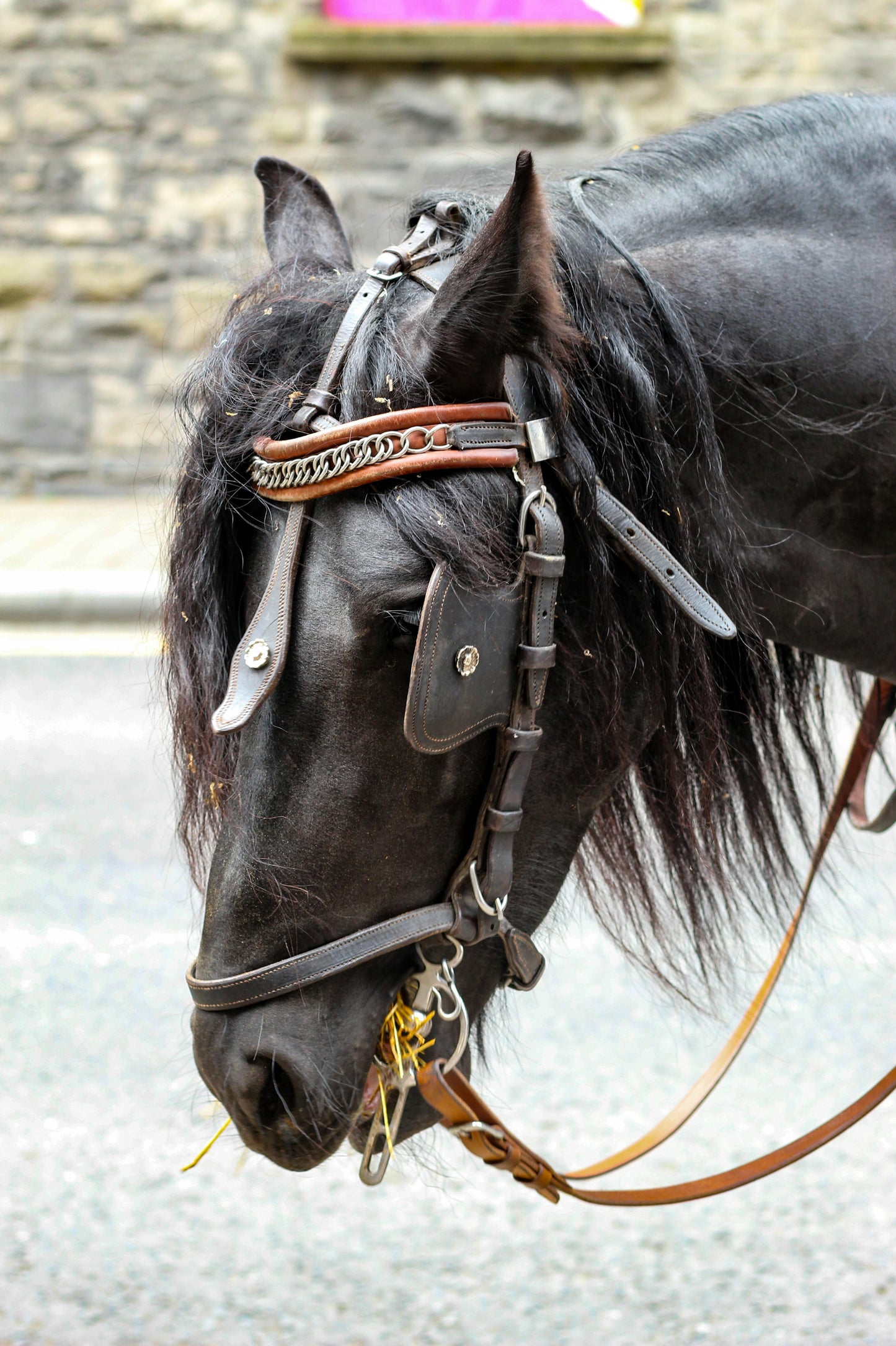 Dublin: Day Tour at Powerscourt and Glendalough through Horse Ride + Pick Up