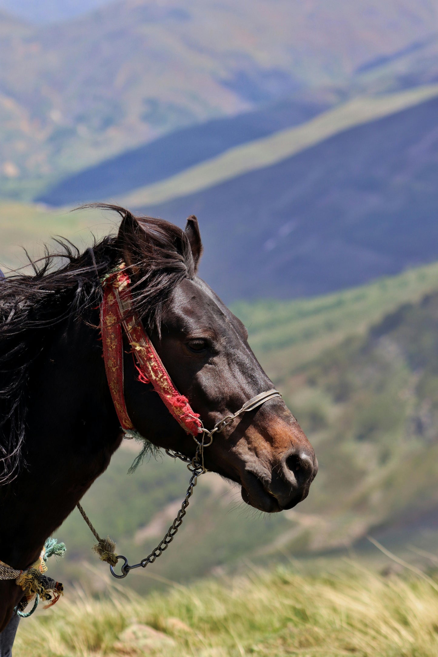 Horseback Safari Experience – A Full Day Adventure in the Karoo