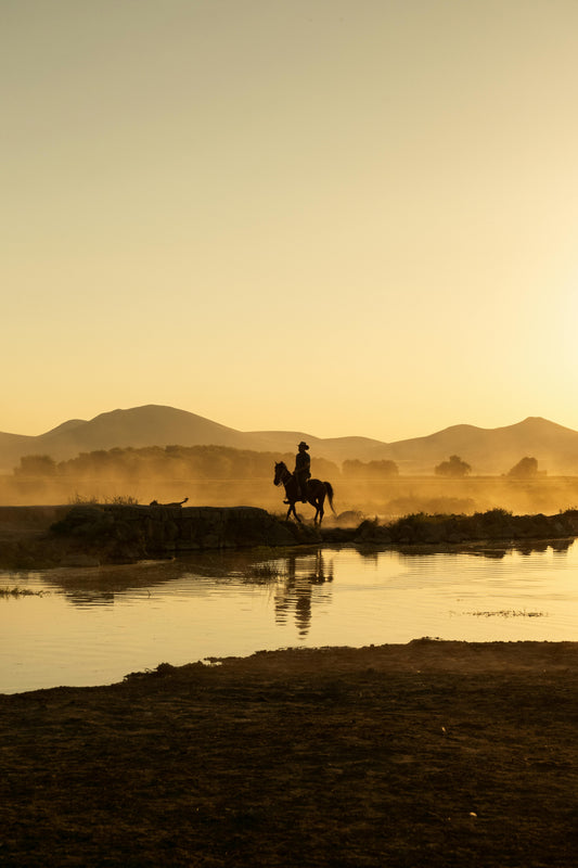 Elgin: Panoramic Horseback Ride Trail