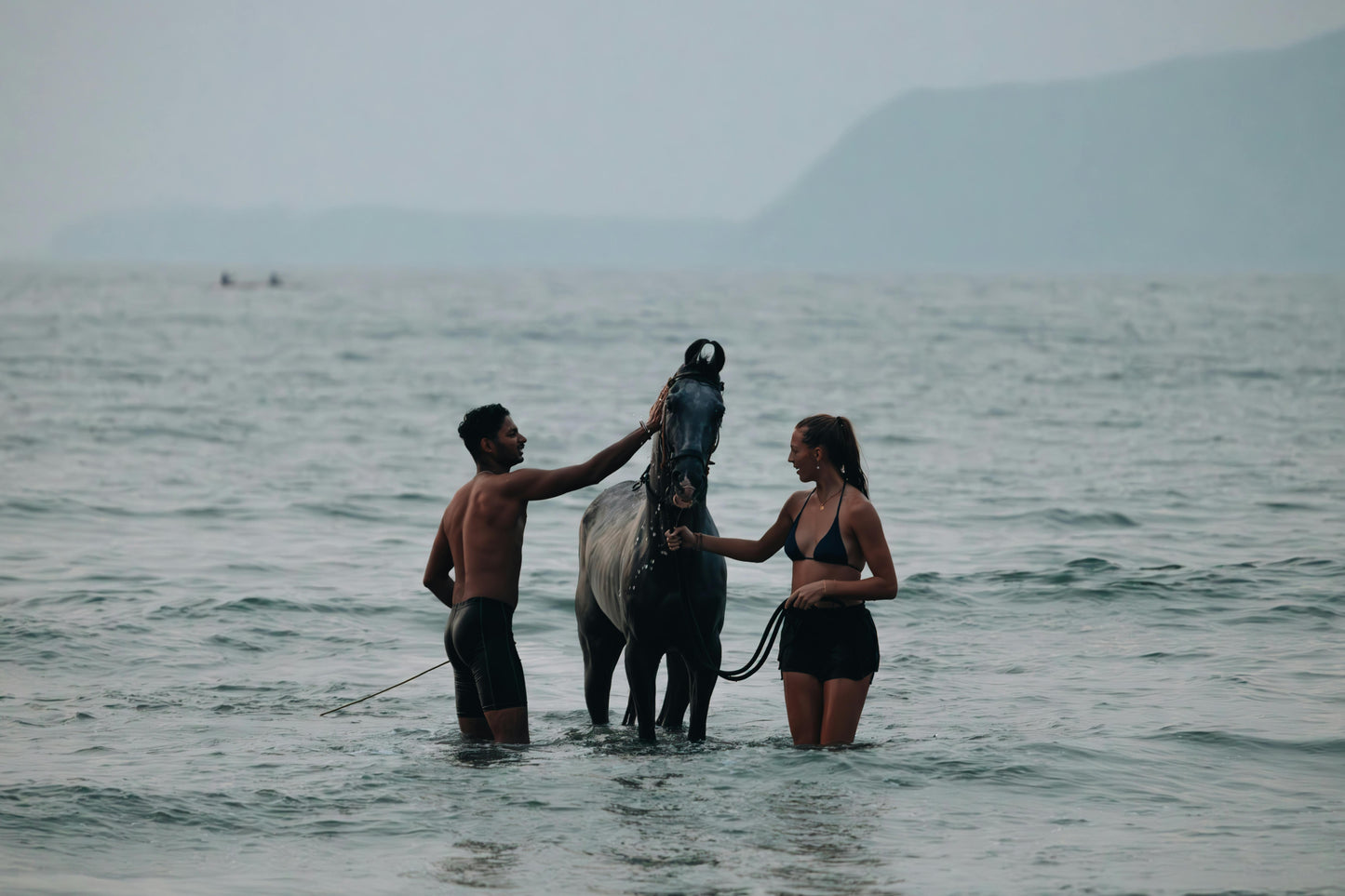 Zanzibar, Tanzania: 30-Minute Kendwa Horse Swim Experience