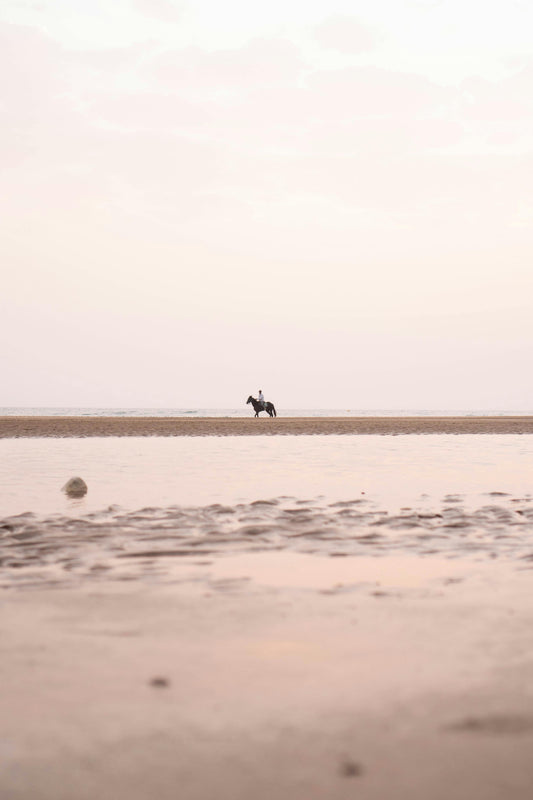 Northland Region, New Zealand: 1.5-Hour Horse Riding Adventure at Uretiti Beach