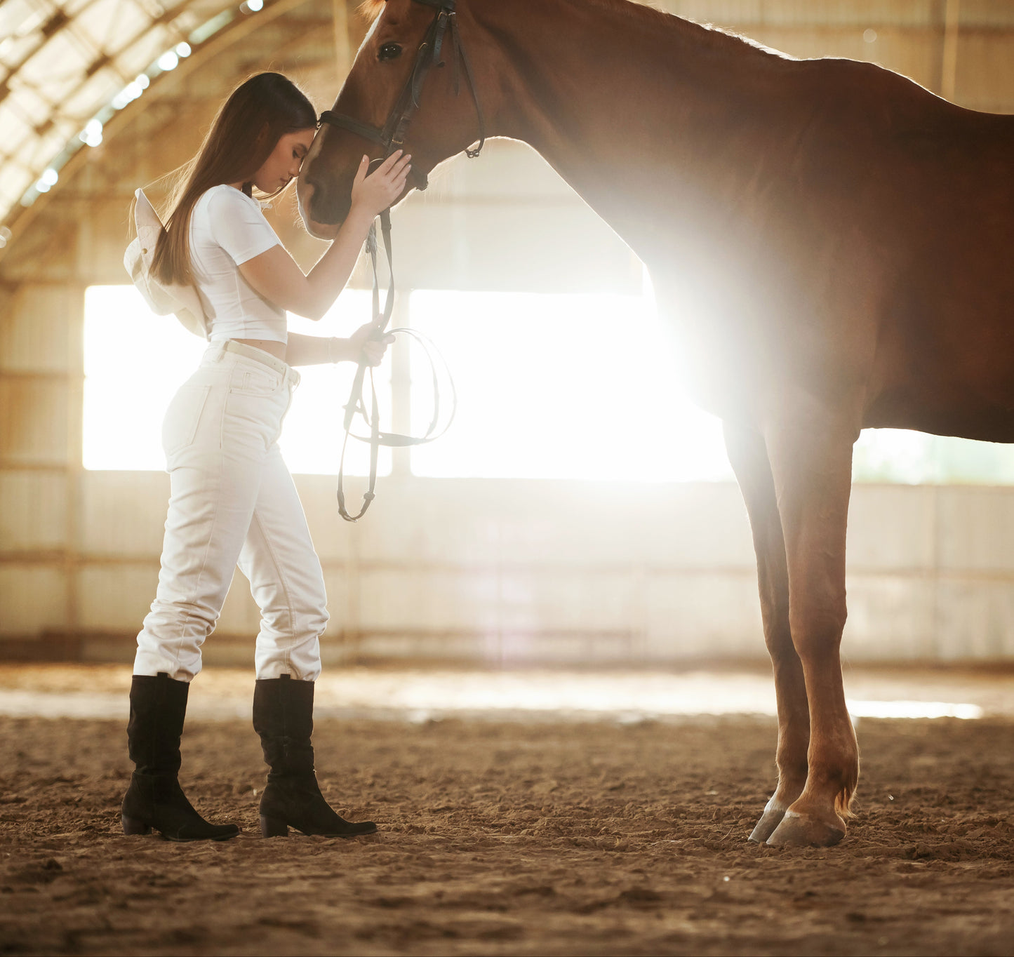 Utah, USA: Horseback Riding Experience at Blue Sky Lodge
