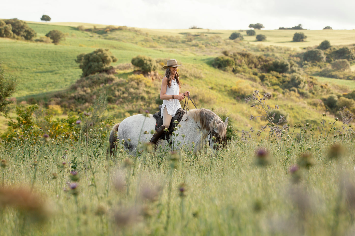 Horseback Riding & Wine Tasting in Bordeaux