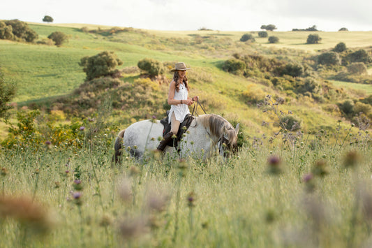 Horseback Riding & Wine Tasting in Bordeaux