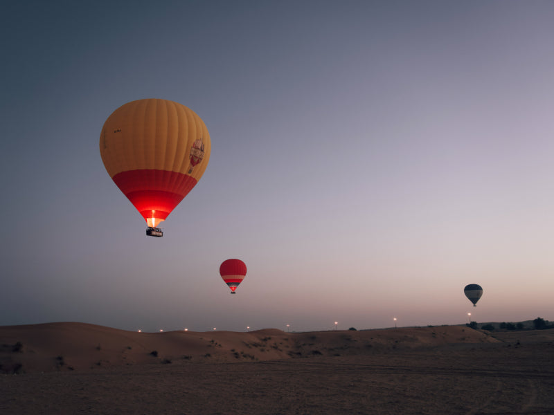 Desert Sunrise Balloon & Falcon Experience