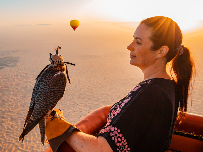 Desert Sunrise Balloon & Falcon Experience