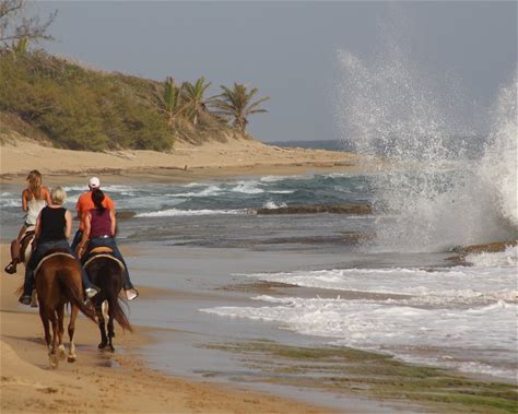 Guanacaste: Beach & Trail Horseback Ride + Hotel Pick-up