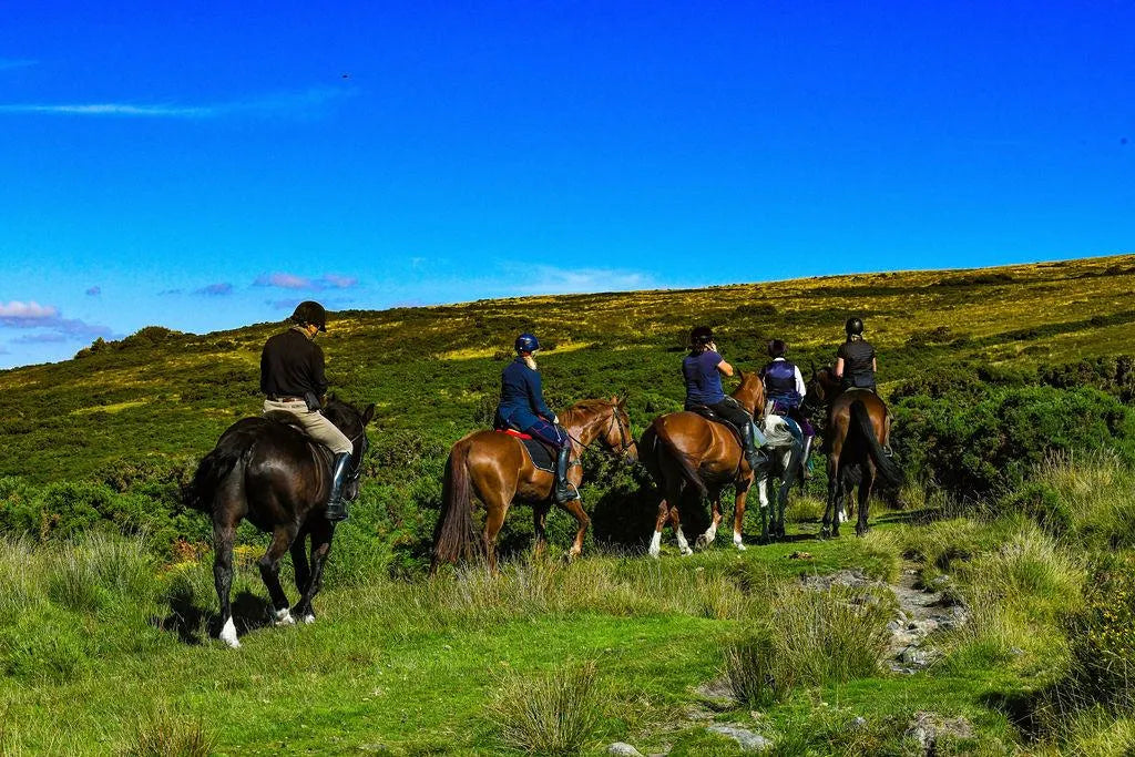 West Berkshire: Countryside Horseback Ride Adventure