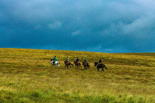 West Berkshire: Countryside Horseback Ride Adventure