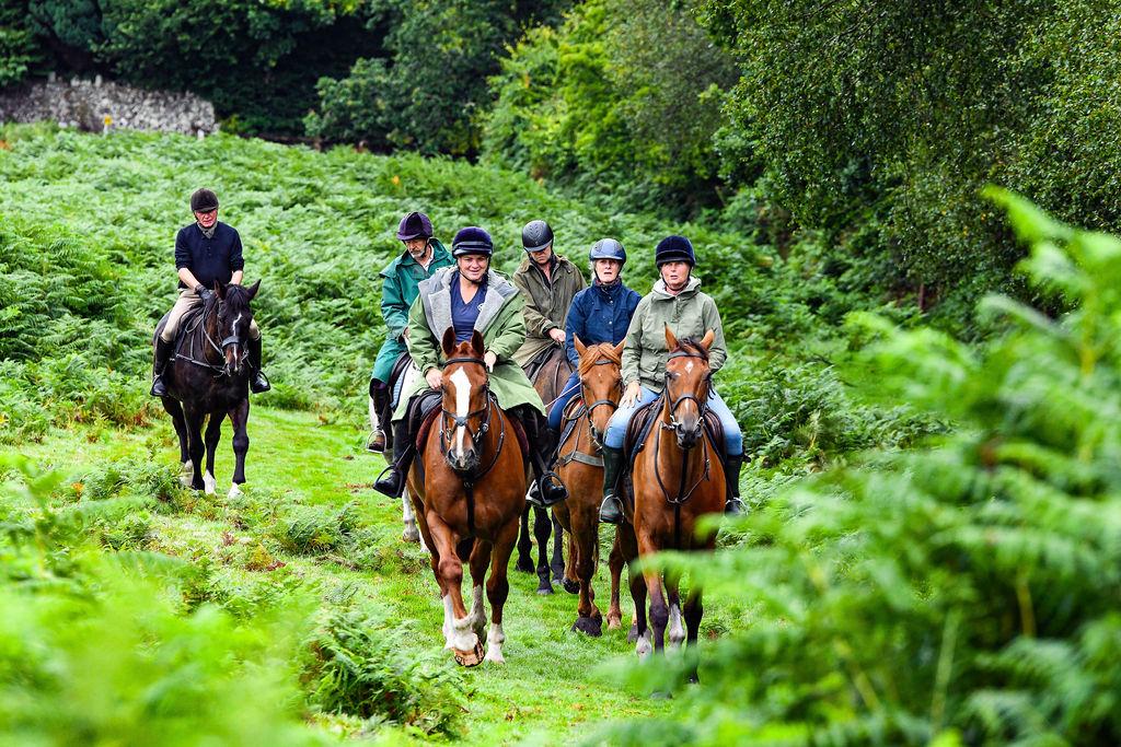 West Berkshire: Private Bold Horizons Horseback Ride + Pick-up Available