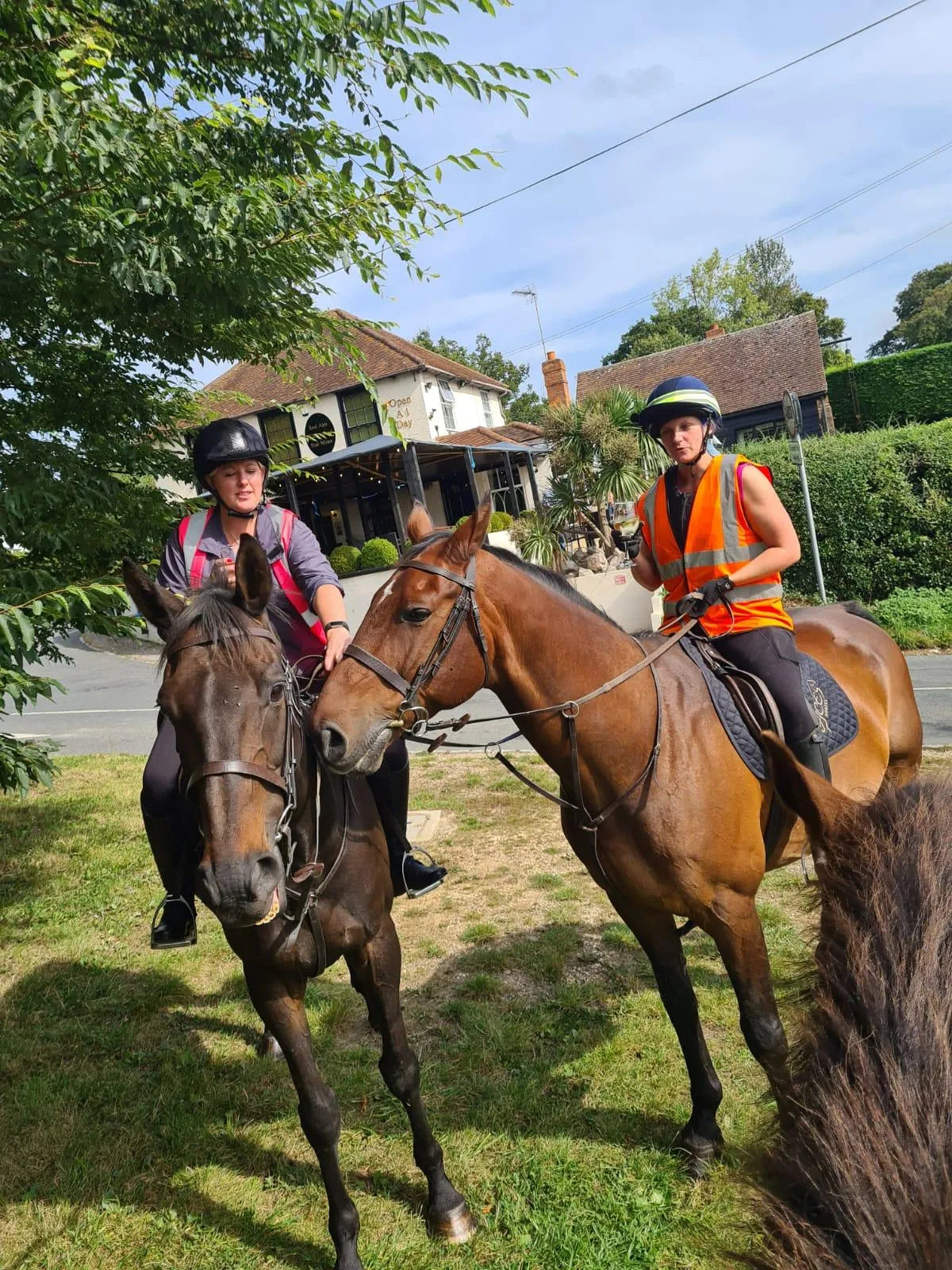 West Berkshire: Private Bold Horizons Horseback Ride + Pick-up Available