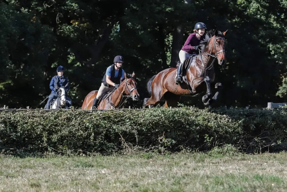 West Berkshire: Private Bold Horizons Horseback Ride + Pick-up Available