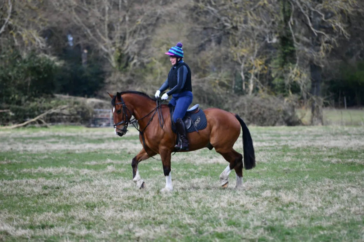 West Berkshire: Private Bold Horizons Horseback Ride + Pick-up Available