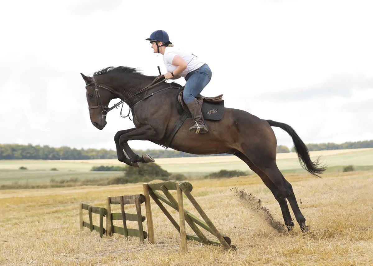 West Berkshire: Countryside Horseback Ride Adventure
