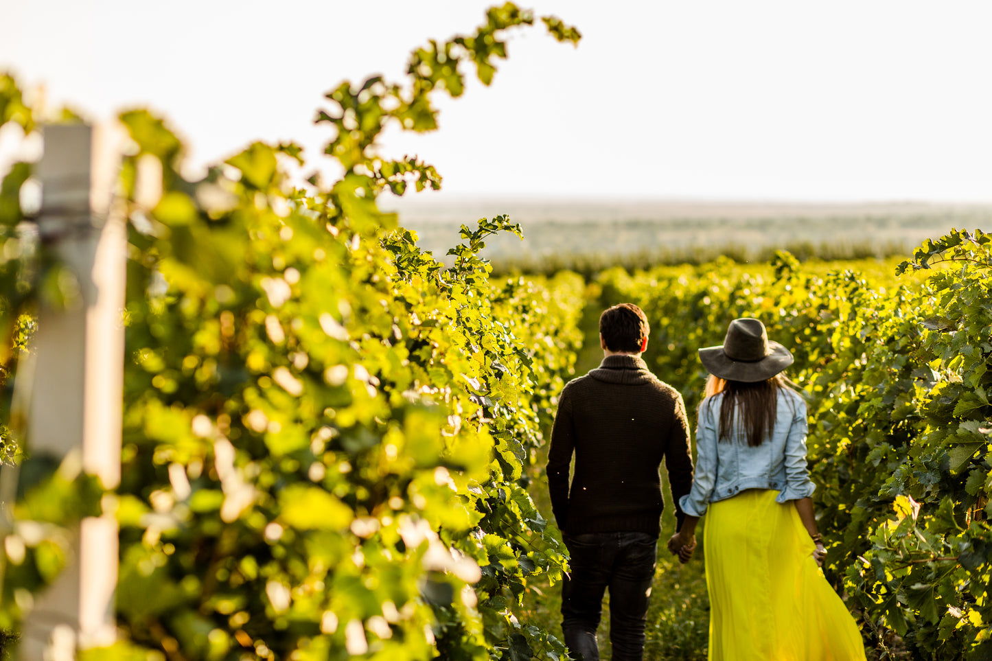 Romantic Day Tour in Bordeaux: Celebrate Your Special Occasion