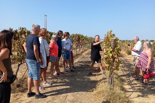 Winery, Wine & Tapas Tour in Albufeira